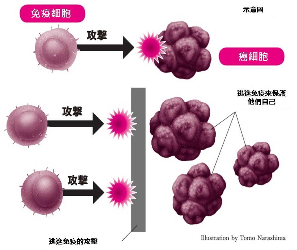 2014VOL05-2
