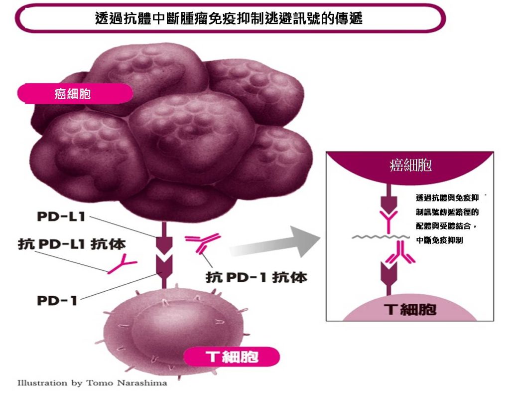 2014VOL05-3